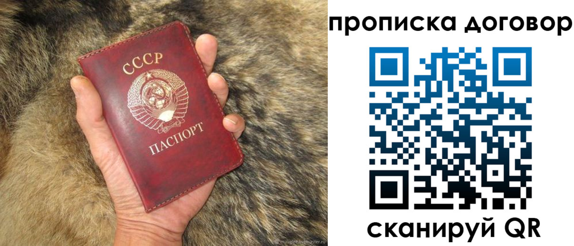 прописка регистрация в Порхове